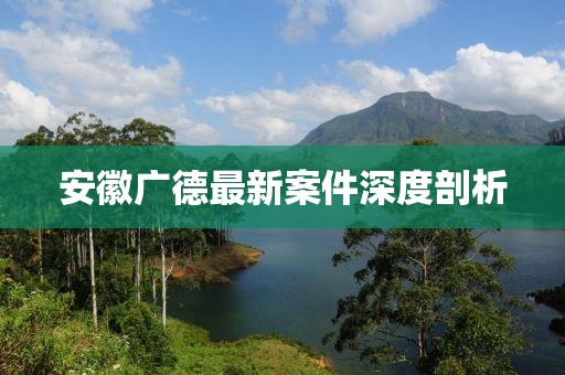 安徽广德最新案件深度剖析