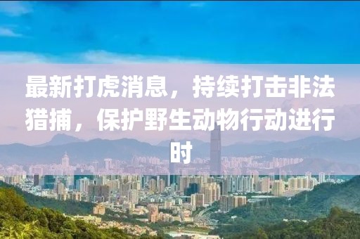 最新打虎消息，持续打击非法猎捕，保护野生动物行动进行时