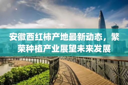 安徽西红柿产地最新动态，繁荣种植产业展望未来发展