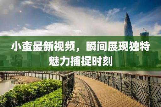 小蛮最新视频，瞬间展现独特魅力捕捉时刻