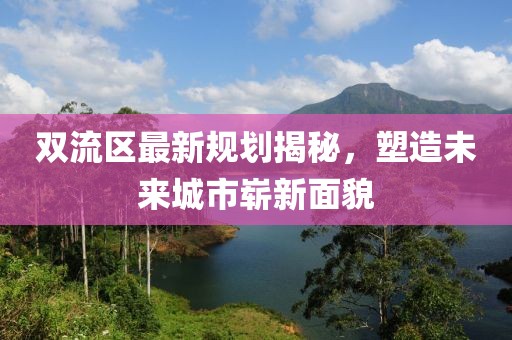 双流区最新规划揭秘，塑造未来城市崭新面貌