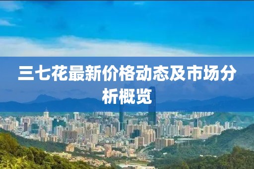 三七花最新价格动态及市场分析概览