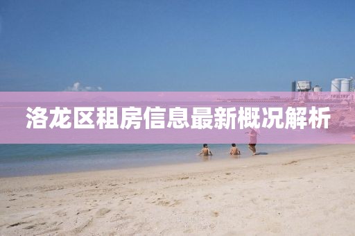 洛龙区租房信息最新概况解析