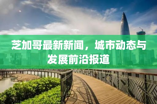 芝加哥最新新闻，城市动态与发展前沿报道