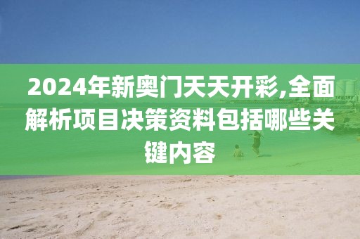 2024年新奥门天天开彩,全面解析项目决策资料包括哪些关键内容