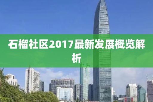 石榴社区2017最新发展概览解析