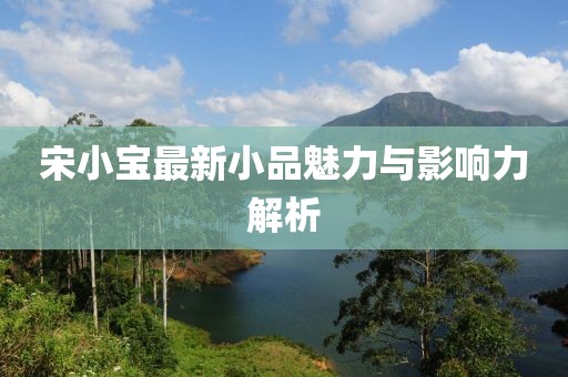 宋小宝最新小品魅力与影响力解析