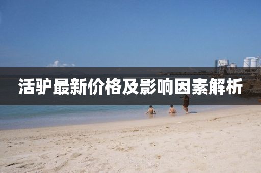 活驴最新价格及影响因素解析