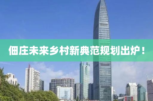佃庄未来乡村新典范规划出炉！