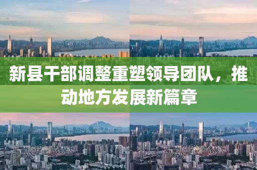新县干部调整重塑领导团队，推动地方发展新篇章