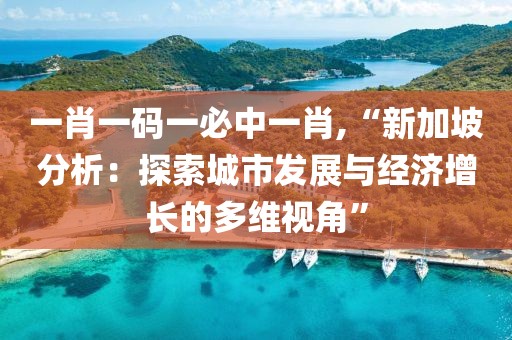 一肖一码一必中一肖,“新加坡分析：探索城市发展与经济增长的多维视角”