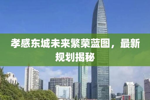 孝感东城未来繁荣蓝图，最新规划揭秘