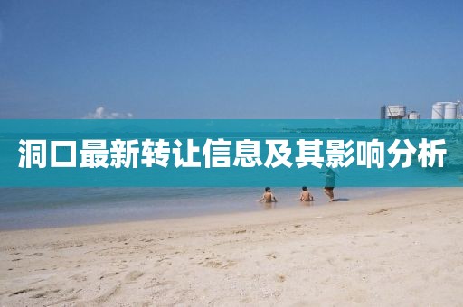 洞口最新转让信息及其影响分析
