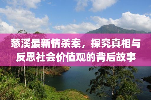 慈溪最新情杀案，探究真相与反思社会价值观的背后故事