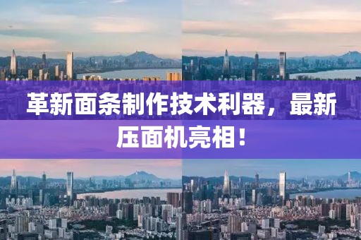 革新面条制作技术利器，最新压面机亮相！