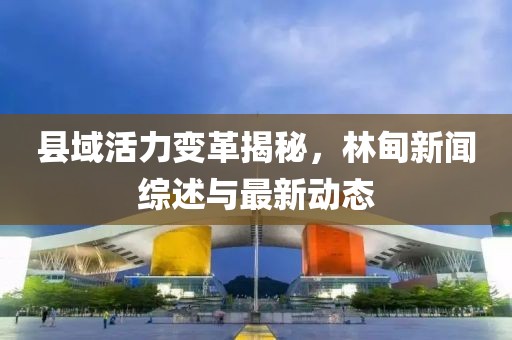 县域活力变革揭秘，林甸新闻综述与最新动态