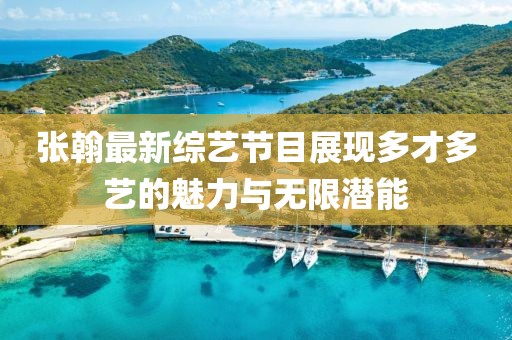 张翰最新综艺节目展现多才多艺的魅力与无限潜能