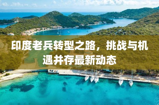 印度老兵转型之路，挑战与机遇并存最新动态