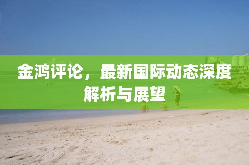 金鸿评论，最新国际动态深度解析与展望