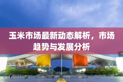 玉米市场最新动态解析，市场趋势与发展分析