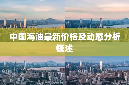 中国海油最新价格及动态分析概述