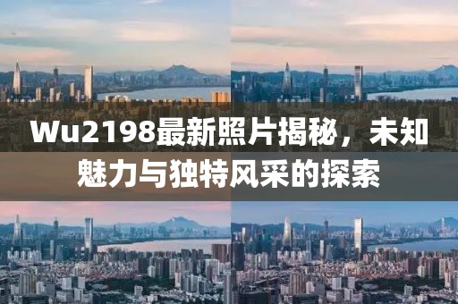 Wu2198最新照片揭秘，未知魅力与独特风采的探索