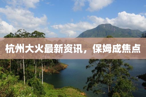 杭州大火最新资讯，保姆成焦点