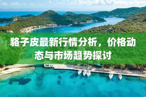 貉子皮最新行情分析，价格动态与市场趋势探讨