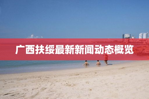 广西扶绥最新新闻动态概览