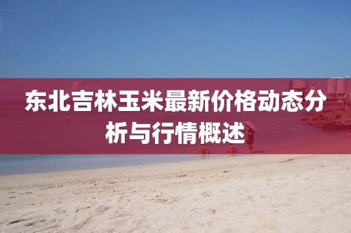 东北吉林玉米最新价格动态分析与行情概述