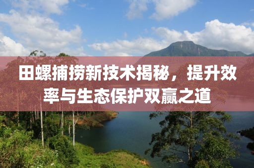 田螺捕捞新技术揭秘，提升效率与生态保护双赢之道