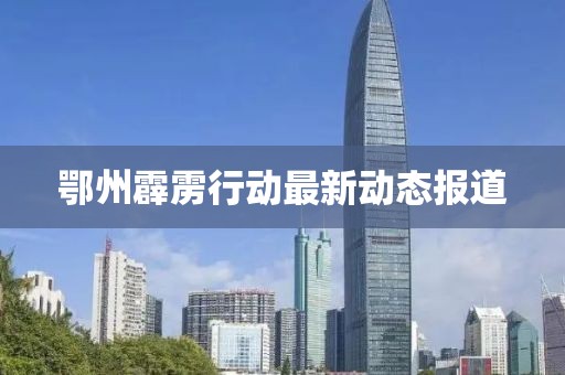 鄂州霹雳行动最新动态报道