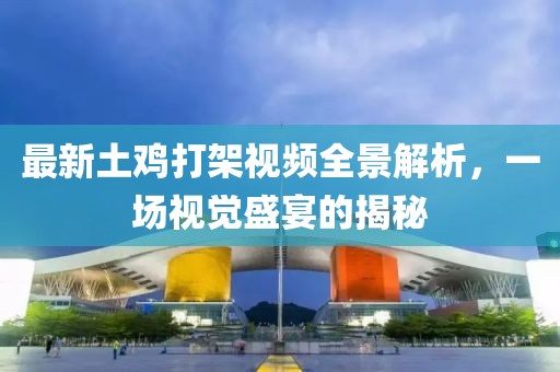 最新土鸡打架视频全景解析，一场视觉盛宴的揭秘