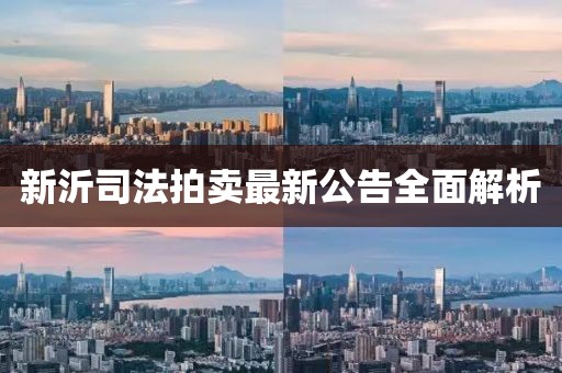 新沂司法拍卖最新公告全面解析