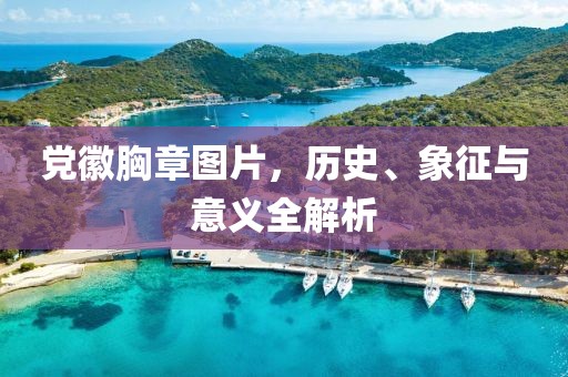 党徽胸章图片，历史、象征与意义全解析