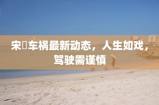 宋喆车祸最新动态，人生如戏，驾驶需谨慎