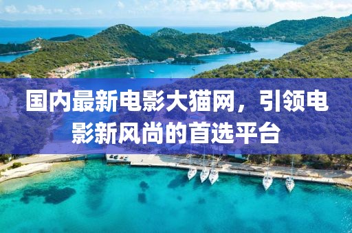 国内最新电影大猫网，引领电影新风尚的首选平台