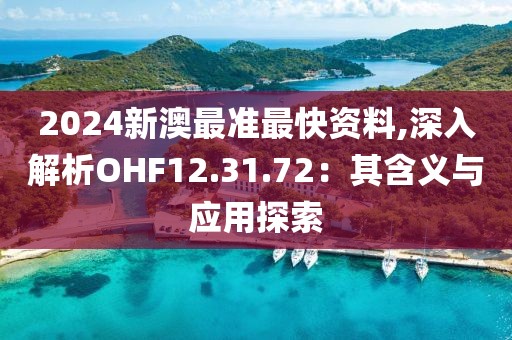 2024新澳最准最快资料,深入解析OHF12.31.72：其含义与应用探索
