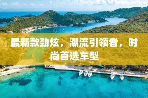 最新款劲炫，潮流引领者，时尚首选车型