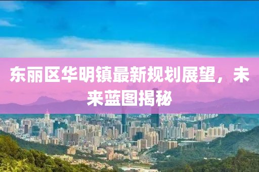 东丽区华明镇最新规划展望，未来蓝图揭秘
