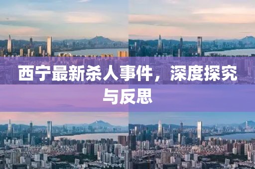 西宁最新杀人事件，深度探究与反思