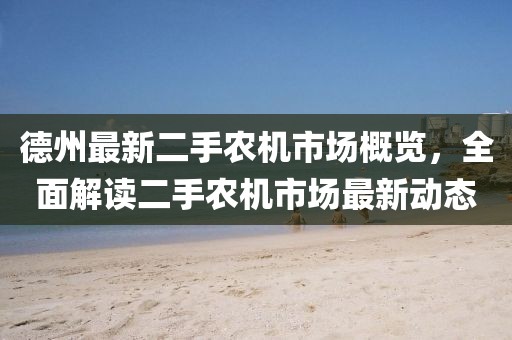 德州最新二手农机市场概览，全面解读二手农机市场最新动态