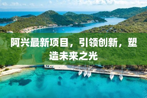 阿兴最新项目，引领创新，塑造未来之光