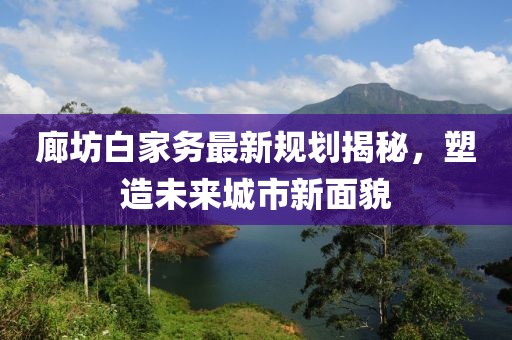 廊坊白家务最新规划揭秘，塑造未来城市新面貌