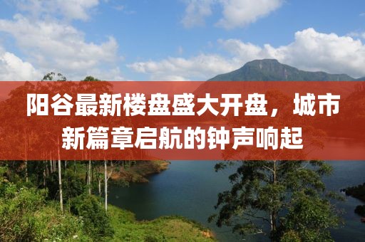 阳谷最新楼盘盛大开盘，城市新篇章启航的钟声响起