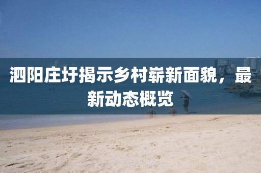 泗阳庄圩揭示乡村崭新面貌，最新动态概览