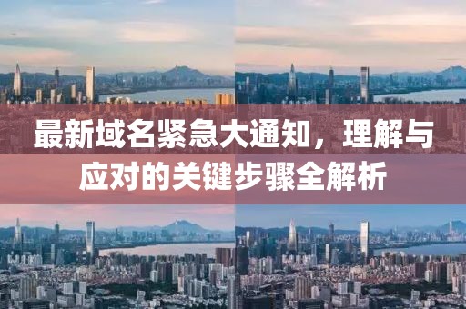 最新域名紧急大通知，理解与应对的关键步骤全解析