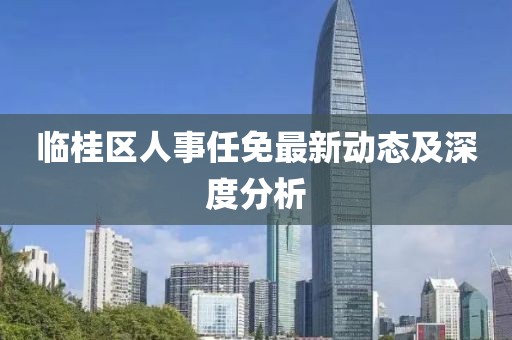 临桂区人事任免最新动态及深度分析