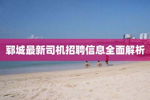 郓城最新司机招聘信息全面解析