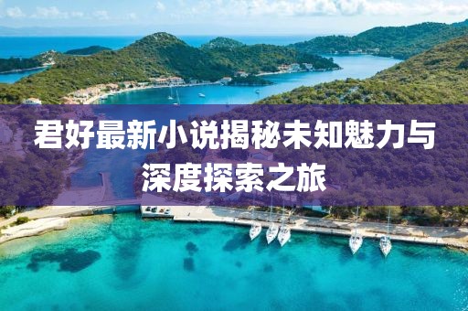 君好最新小说揭秘未知魅力与深度探索之旅